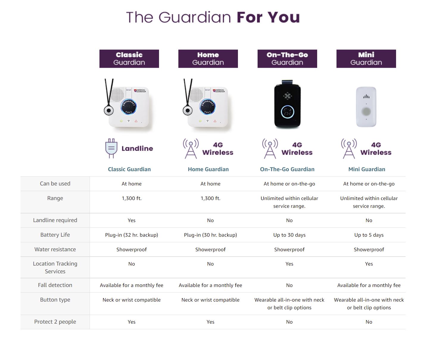 Choosing Your Guardian Infographic